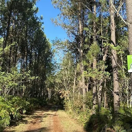 De Tambourin * Argelouse