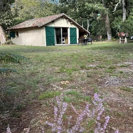 Holiday home De Tambourin *