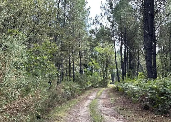 De Tambourin Argelouse