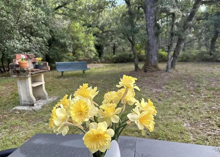 De Tambourin Feriehus