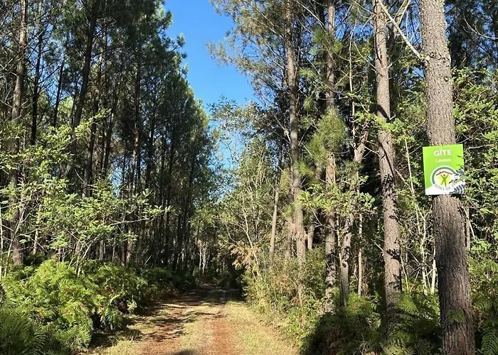 De Tambourin * Argelouse